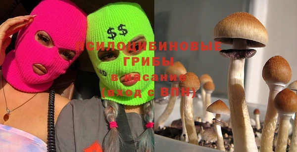 прущая мука Абинск