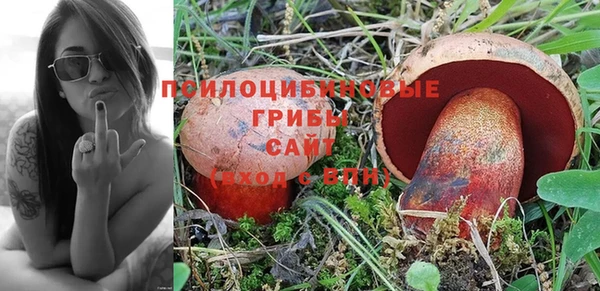 а пвп мука Алексеевка