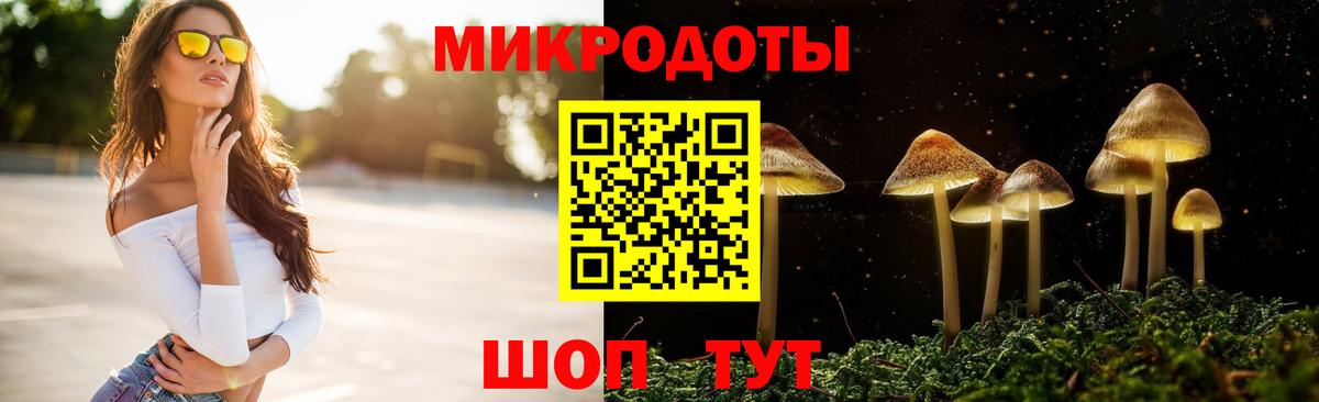 Майский  Галлюциногенные грибы Magic Shrooms  Вход с VPN  Псилоцибиновые грибы GOLDEN TEACHER 
